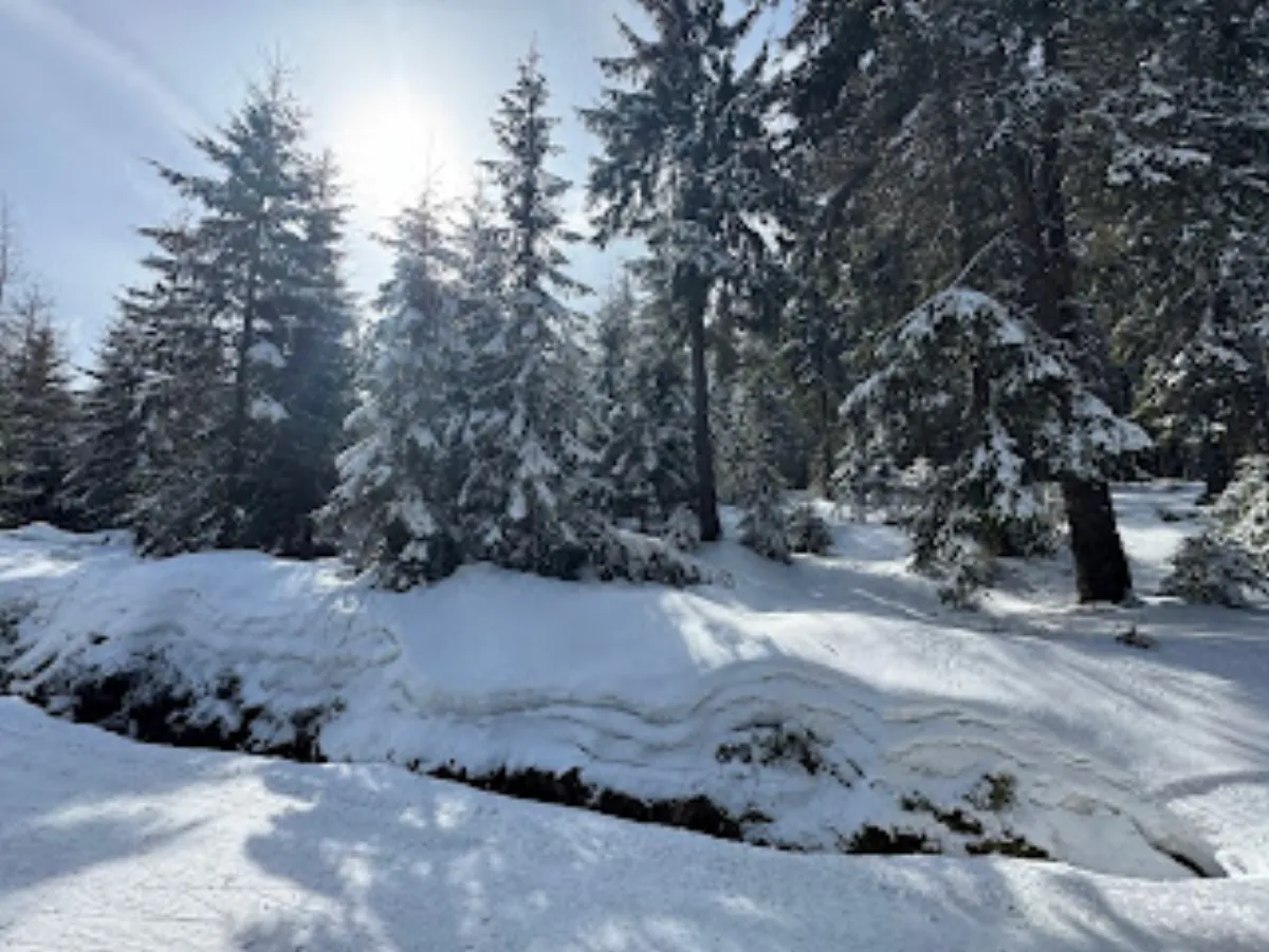 Jakuszyce - trasy narciarskie